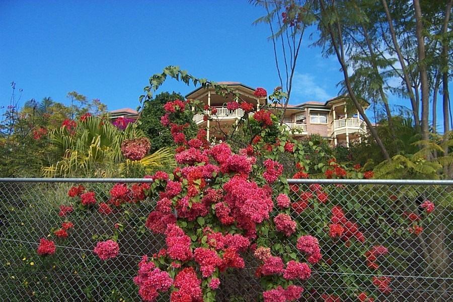 Tranquil Garden Hideaway Apartment Ormeau Exterior foto